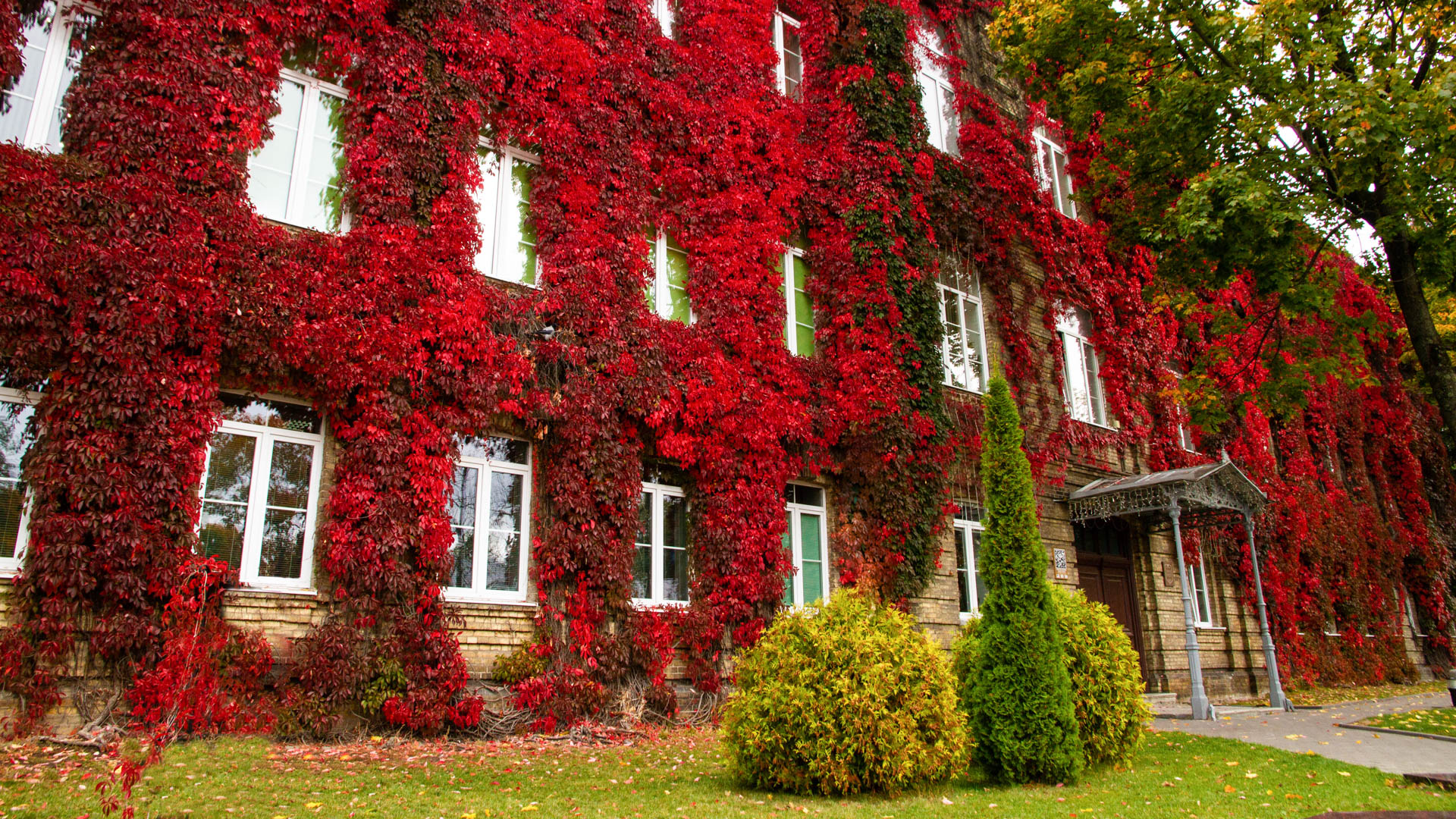 Проходные баллы в вузах Беларуси за 2025 год — в одной статье Проходные баллы в вузах Беларуси за 2025 год — в одной статье