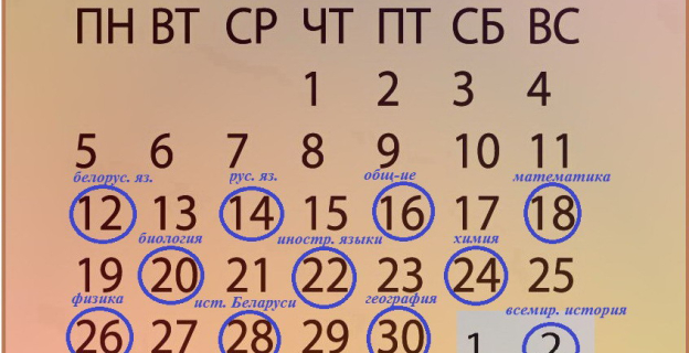 Статистика ЦТ 2017 года: количество неявившихся, удаленных, набравших 100 и 0 баллов, а также не преодолевших порог