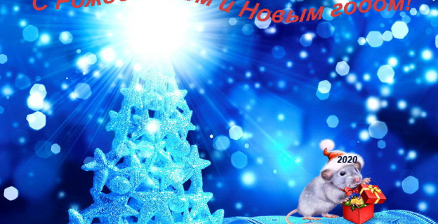 KudaPostupat.by поздравляет всех с праздниками — Рождеством и Новым годом!