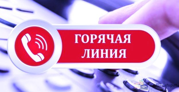 В Беларуси начинают работу «горячие линии» Комитета госконтроля (КГК)
