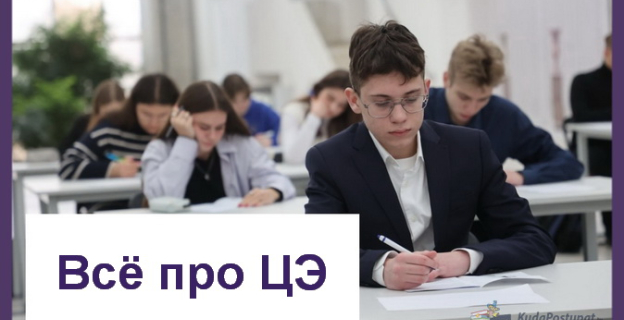 На сайте РИКЗ заработал специальный раздел «ЦЭ»