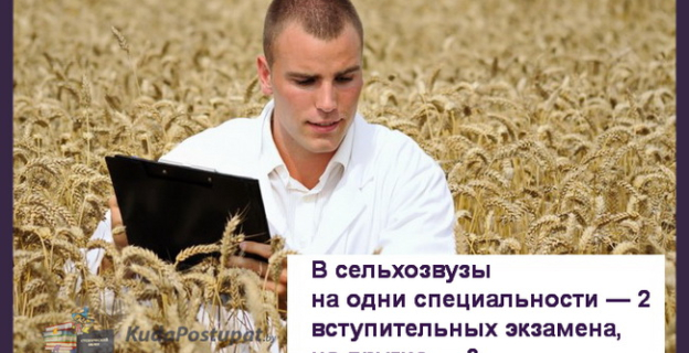 При поступлении в сельскохозяйственные вузы на одни специальности — 2 вступительных экзамена, на другие — 3