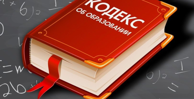 Нововведения в Кодексе об образовании коснутся целевиков, дистанционки и школьной программы